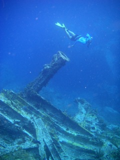 Heather and the wreck