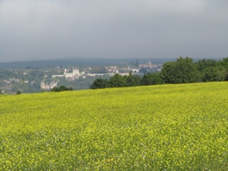 Mailly-le-Château and a field of yellow flowers