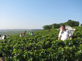 Harvesters in the Premier Cru Butteaux fields
