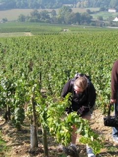 Suzanne inspects the Grenouilles field 2009 Grand Cru