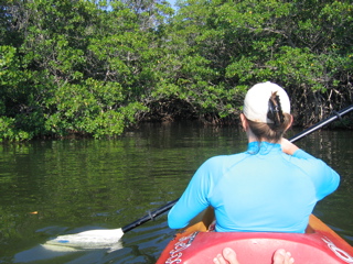 Kayaking through the mangrove tunnel