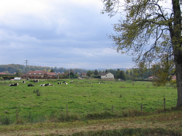 Countryside at Niderviller