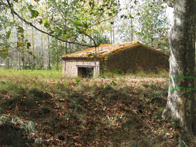 Farmer's hut