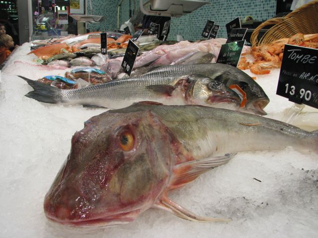 Fishmarket in Nîmes