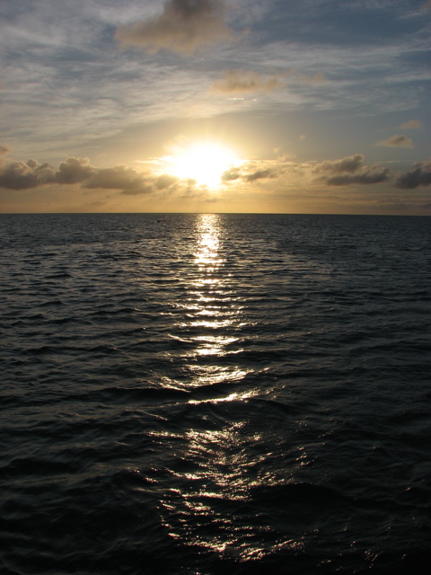 Barbuda Sunset (T)