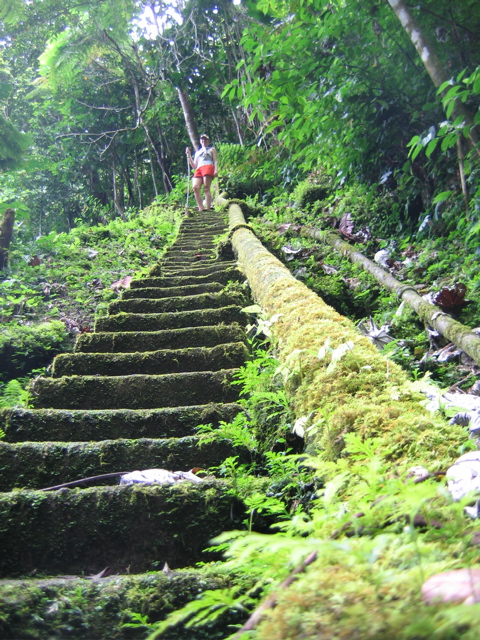 Mossy Staircase