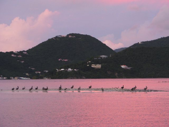 Sunset at Leinster Bay