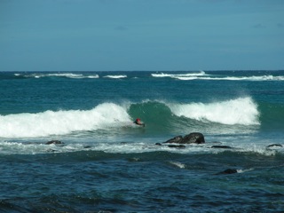 Ted Surfing