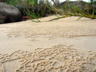 Strange Sand Trails