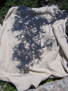 Funny crescent shadows